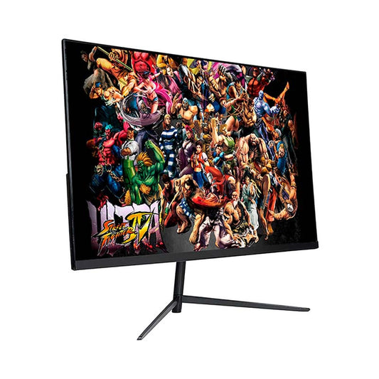 Monitor MIO LED 24" Flat 1920x1080 165hz